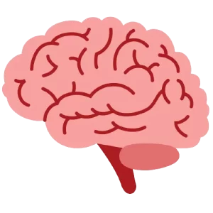 Cerebro vectorial